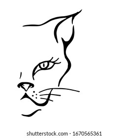 outline drawing of a cat, leopard panther head, isolated white background. vector illustration.