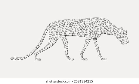 Outline drawing of a cheetah. The cheetah's slender body and long tail are depicted in a minimalist style. Cheetah outline with spots and elegant posture. Vintage animal illustration isolated, vector.