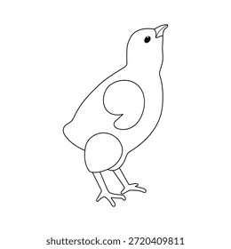 Dibujo de contorno de pollito aislado sobre un fondo blanco. Pollo lineal icono, Ilustración vectorial, página para colorear. Aves.