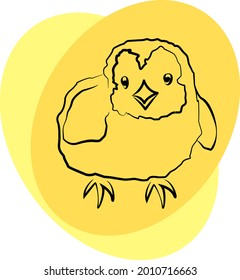 Umrisszeichnung eines Hühners. Küken. Vektorgrafik