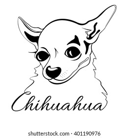 outline drawing of the dog's head and the words Chihuahua