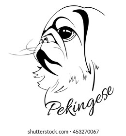 outline drawing of the dog's head and the words pekingese