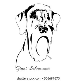 outline drawing of the dog's head and the words Giant Schnauzer