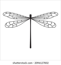 Outline drawing of dragonfly. Vector dragonfly drawn by black line.