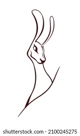 Outline drawing of a forest hare, vector illustration