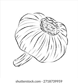 Umrisszeichnung, Umrisszeichnung für Knoblauchsatz, EPS-Format, handgezeichneter Doodle-Symbolsatz, Vektor, Vektorgrafik für Knoblauchlinien, Handmalerei-Set, Vektordesign, ideal für Verpackungsdesign, Lebensmittelmarken, Produktdesign und Etikettendesign