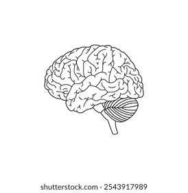 Ilustración del icono del Vector médico del cerebro humano aislado en el fondo blanco. Dibujo del esquema del cerebro humano en línea negra.