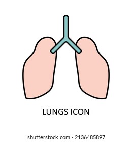 Outline drawing of human lungs. Linear icon. Vector drawing. 