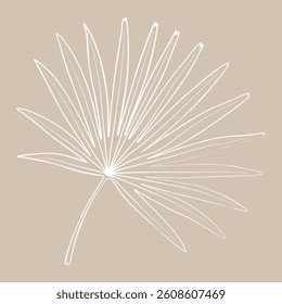 Outline Drawing of Lady Palm Leaf on a Neutral Background to Highlight Its Delicate Structure and Beauty