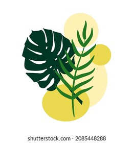 Outline drawing of monstera, Abstract image of tropical leaves, Modern botanical illustration, Suitable for use in posters packaging wall art social media