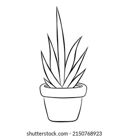 Outline drawing of a plant in a pot. Simplified image of aloe vera.