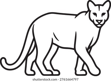 Outline drawing of a puma or cougar. black line art. mountain lion walking. big cat predator.
