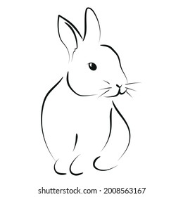 Outline drawing of rabbit, vector illustration