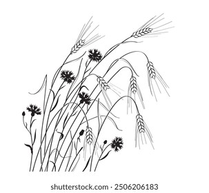 Outline drawing of ripe wheat ears and cornflowers isolated on white background. Monochrome rural scene with wheat spikelets and wildflowers. Vector illustration. 