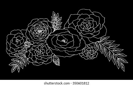 Outline drawing roses on white background. Vector illustration. Free hand drawn.