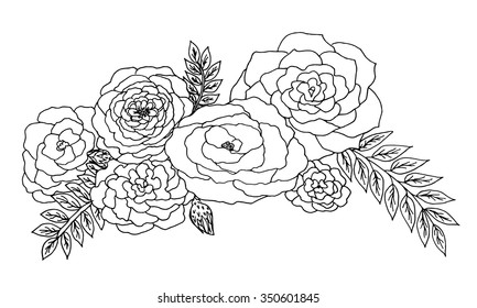 Outline drawing roses on white background. Vector illustration. Free hand drawn.