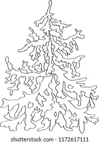 Outline drawing spruce