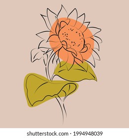 Outline drawing of sunflower, vector illustration