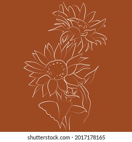 Outline drawing of sunflower, vector illustration	