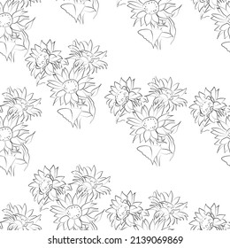 Outline drawing of sunflower, vector illustration. Seamless pattern.