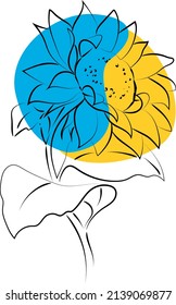 Outline drawing of sunflower, vector illustration