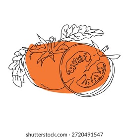 Dibujo de contorno de rodajas de tomate, dibujo de contorno de rodajas de tomate, diseño de Vector, línea de tomate de Vector con color de pincel naranja, conjunto de diseño de pintura a mano, formato EPS, dibujo de contorno para el dibujo de rama de tomate, conjunto de iconos dibujados a mano Doodle