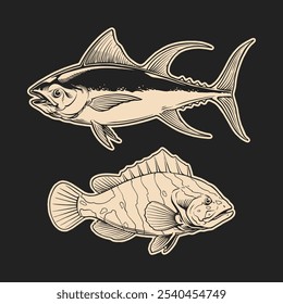 outline drawing tuna and grouper fish illustration for tshirt design, logo brand, or stickers