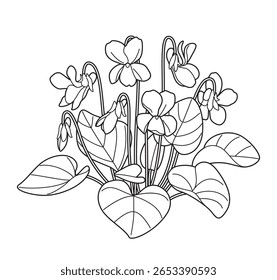 Desenho de contorno Viola cacho isolado no fundo branco. Ilustração em preto e branco de flores, botões e folhas. Composição floral monocromática vetorial para decoração, design de tatuagem ou página de coloração.