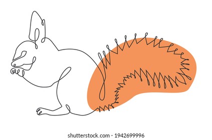Outline drawing of a wild animal squirrel, continuous line, abstract spot, art, logo, icon