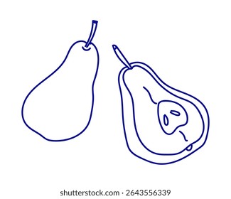 Outline drawings of ripe pears on a plain background showcasing their unique shapes and details