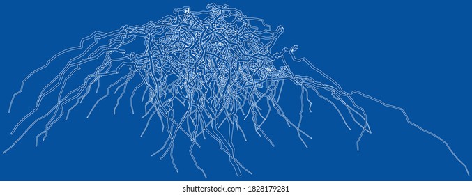 Outline a dried shrub without leaves. Isolated vector