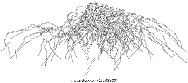 Outline a dried shrub without leaves. Isolated vector