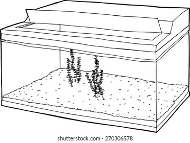 Outline of empty aquarium tank with aquatic plants