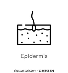 outline epidermis vector icon. isolated black simple line element illustration from medical concept. editable vector stroke epidermis icon on white background