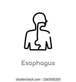 outline esophagus vector icon. isolated black simple line element illustration from medical concept. editable vector stroke esophagus icon on white background