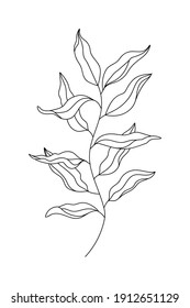 Umfassende dekorative Verzweigung mit Blättern. Florale minimalistische Stil Linie Art Plant. Botanische Kontur-Vektorelement einzeln auf Design-Druck, Poster, Logo, Einladung, Karte, Farbseite