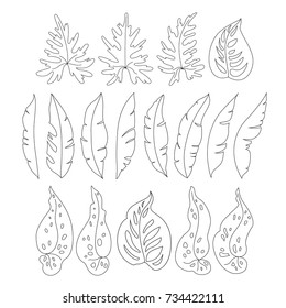 Outline exotic leaves set. Vector illustration