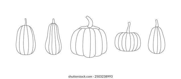 Outline fall pumpkins set. Autumn vegetable harvest. Line art, contour, sketch. Black and white. Editable stroke. Coloring page. Vector isolated on white.