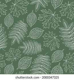 Outline falling Leaves green doodle seamless pattern. Autumn Maple, Rowan, Aspen Tree Leaf. Fall season forest vector natural background for invitation, greeting card, wrapping paper, textile, fabric