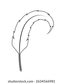 outline of a feather with curved form and sharp edges, isolated on transparent background
