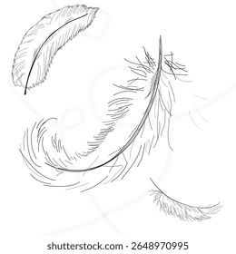 Outline feather icons design in minimal style.