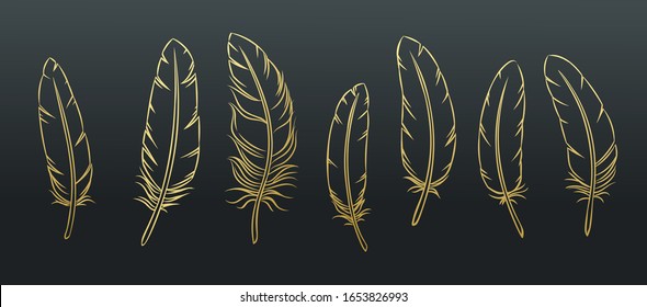 Outline feathers set. Golden bird feather on black background. Vector illustration.