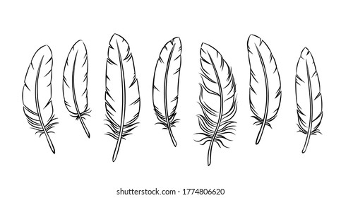 Outline feathers set. Monochrome engraved bird feather vector illustration.