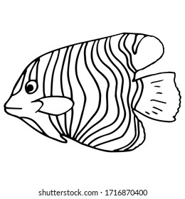 Outline fish on white isolated backdrop. Coral reef fish for invitation and gift card, tattoo parlor or pet shop logo, bath tile. Phone case or cloth print. Doodle style stock vector illustration