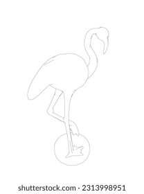 Outline flamingo vector illustration isolated on white background. Exotic tropical bird. Zoo animal collection. Cute cartoon character. Decoration element. Flat design. White background. Isolated..