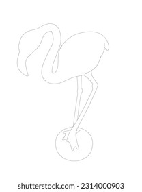 Outline flamingo vector illustration isolated on white background. Exotic tropical bird. Zoo animal collection. Cute cartoon character. Decoration element. Flat design. White background. Isolated..