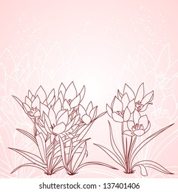outline floral background with decorative tulips