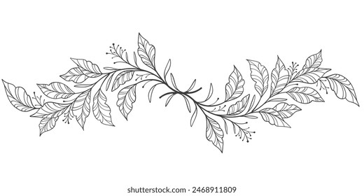 Contorno de la botánica floral. Dibujos de Vector floral. Linea floral en blanco y negro sobre fondo transparente. Ilustraciones botánicas dibujadas a mano.Vector.