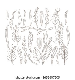 Outline floral set. Floral collection with leaves, branches and flowers. Vector illustration