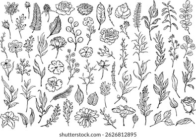 outline floral set two, botanical, foliage leaves flowers branches collection, isolated vector illustration